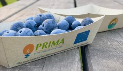 WhatsApp Image 2025-07-16 à 15.57.21_487a862c